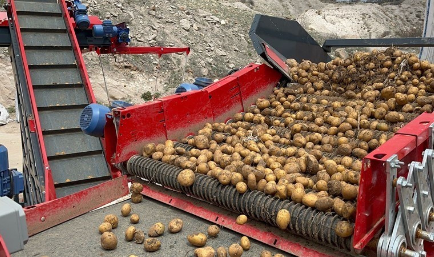 hepsi-geri-gonderildi-2-bin-tondan-fazla-patates-viruslu-cikti-Pa71Rbcu.jpg