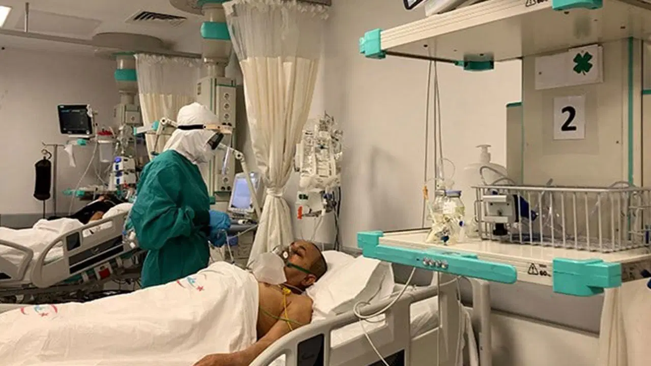 ankaradan sonra boluda goruldu deli dana hastaligi suphesi cBl5XZJi.jpg