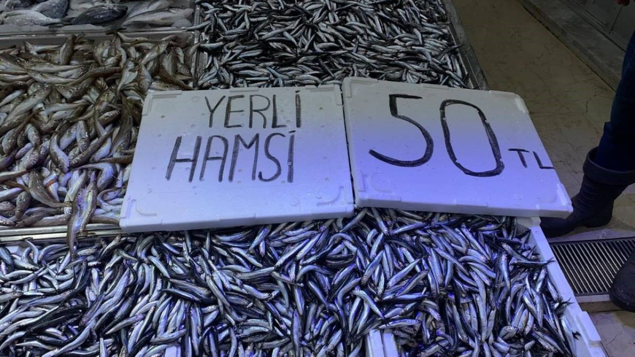 bolluk yasaniyor hamsi fiyatlari yariya dustu 6CavJMV7.jpg