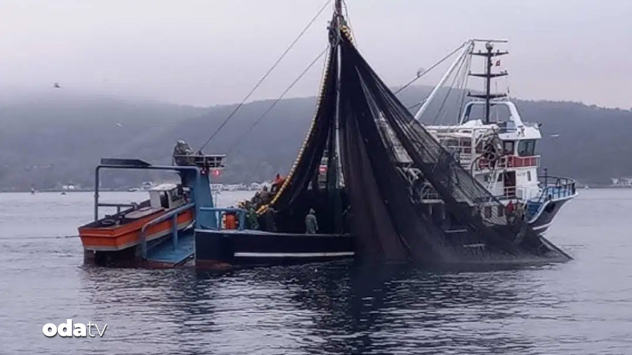 girgir tekneleri bogazi sardi balik soykirimi Cj9zup3L.jpg