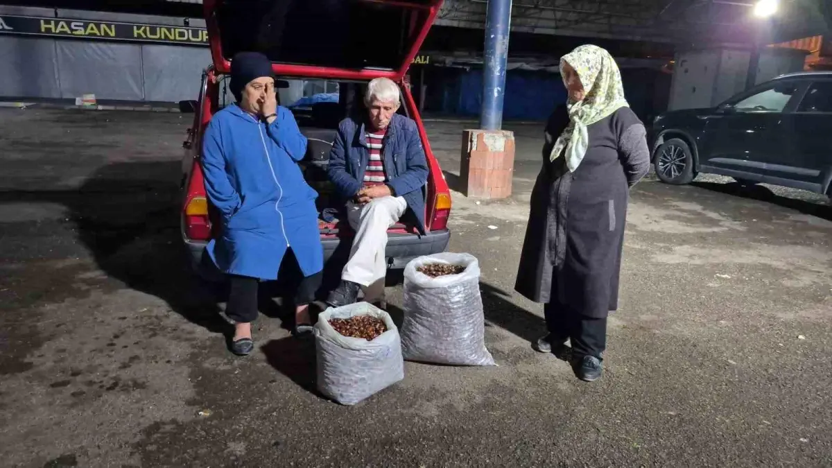 kuraklik kestane rekoltesini vurdu fiyatlar yukseliyor JAaXZwVx.jpg