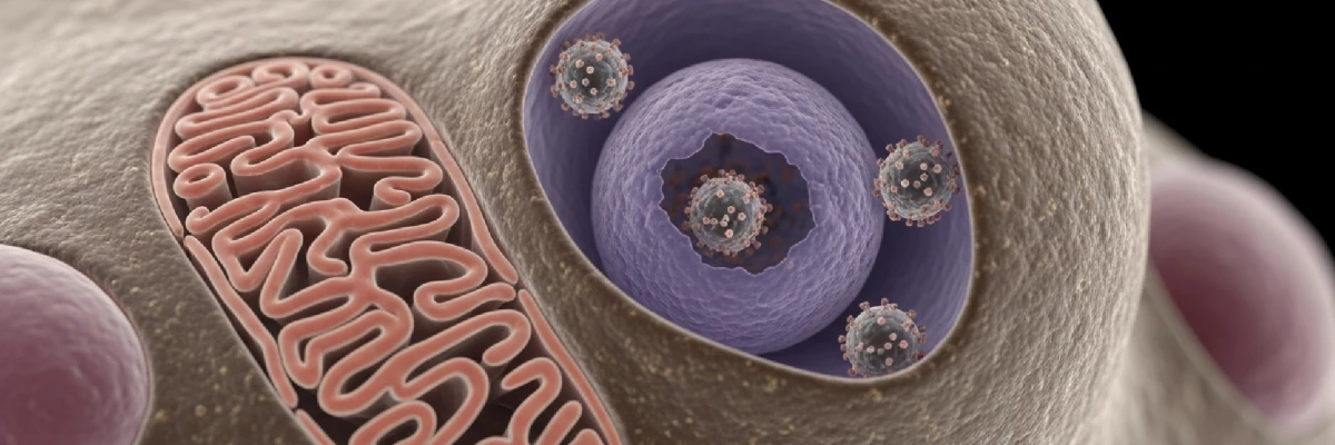 HPV Aşısı ve Önemi Hakkında Bilmeniz Gerekenler